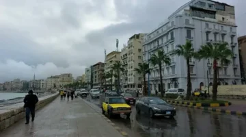 طلعي الشال يا ست.. تراجع ملحوظ في درجات الحرارة غدا الأحد 30 نوفمبر والأرصاد تحذر